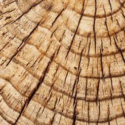 Indoor/Outdoor Faux Concrete Stump Accent Table Brown - Threshold™ Designed With Studio McGee -Threshold GUEST 03deabfd 2b62 4725 94b4 09a321ea8678