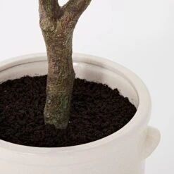 76.5"x 30" Artificial Olive Tree In Ceramic Pot - Threshold™ Designed With Studio McGee -Threshold GUEST 5f1c0b63 d965 4bfb 9559 6084dae15f92