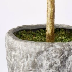 Banyan Tree Potted - Threshold™ Designed With Studio McGee 8 Banyan Tree Potted - Threshold™ Designed With Studio McGee -Threshold GUEST 7c945569 ea6c 4192 94d5 6530a4bfd2d3