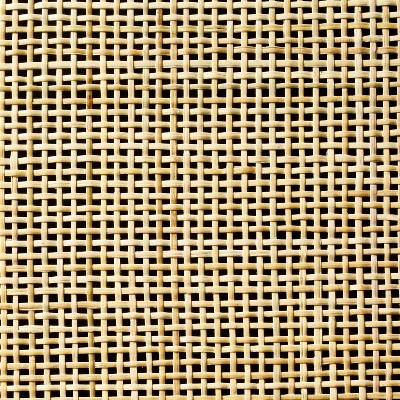 Springville Caned Door TV Stand - Threshold™ Designed With Studio McGee 7 Springville Caned Door TV Stand - Threshold™ Designed With Studio McGee - Image 5