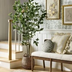 Bay Leaf Tree In Basket - Threshold™ Designed With Studio McGee