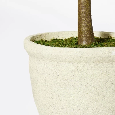 Ficus Tree - Threshold™ Designed With Studio McGee 5 Ficus Tree - Threshold™ Designed With Studio McGee - Image 3