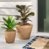 Earthenware Weathered Indoor/Outdoor Planter Pot - Threshold™ Designed With Studio McGee -Threshold GUEST e8535bcb 0331 4acc 8d5c 2c4ed39d2fd4